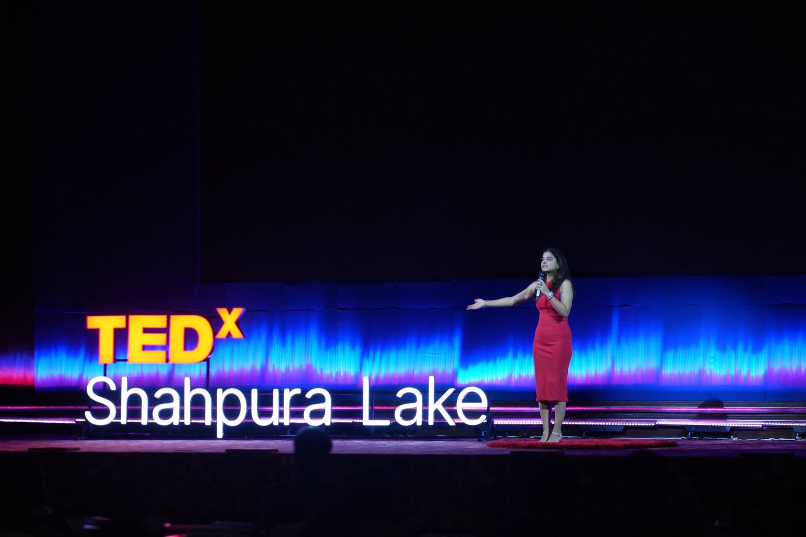 Speaker on the TEDxShahpura Lake stage